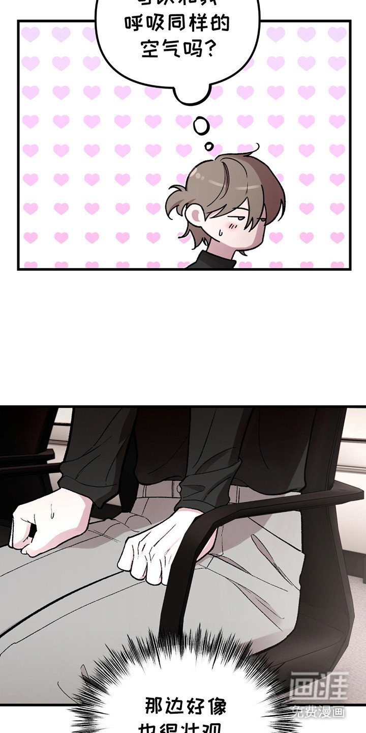 第3章：对视