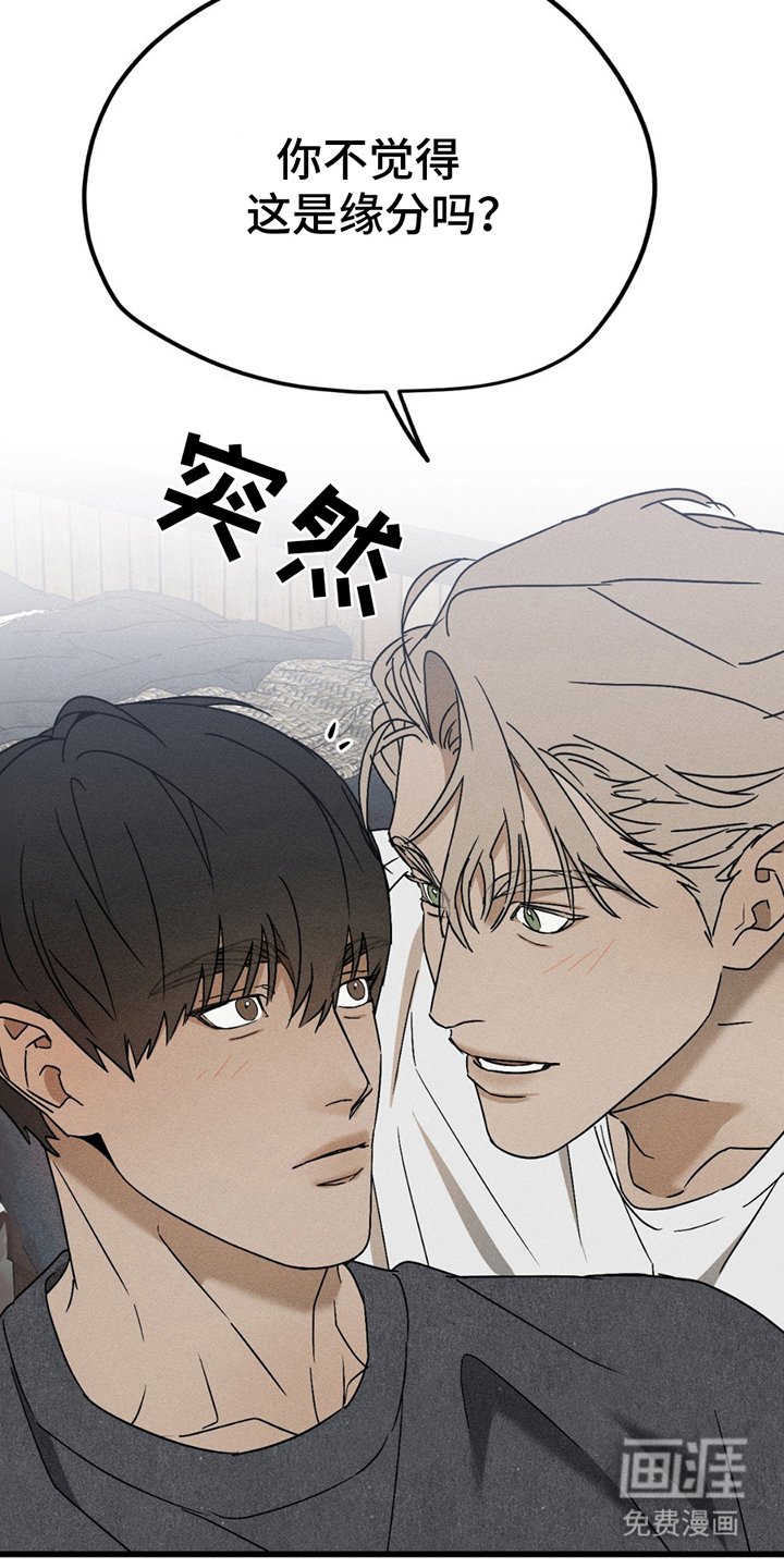 第12章：缘分