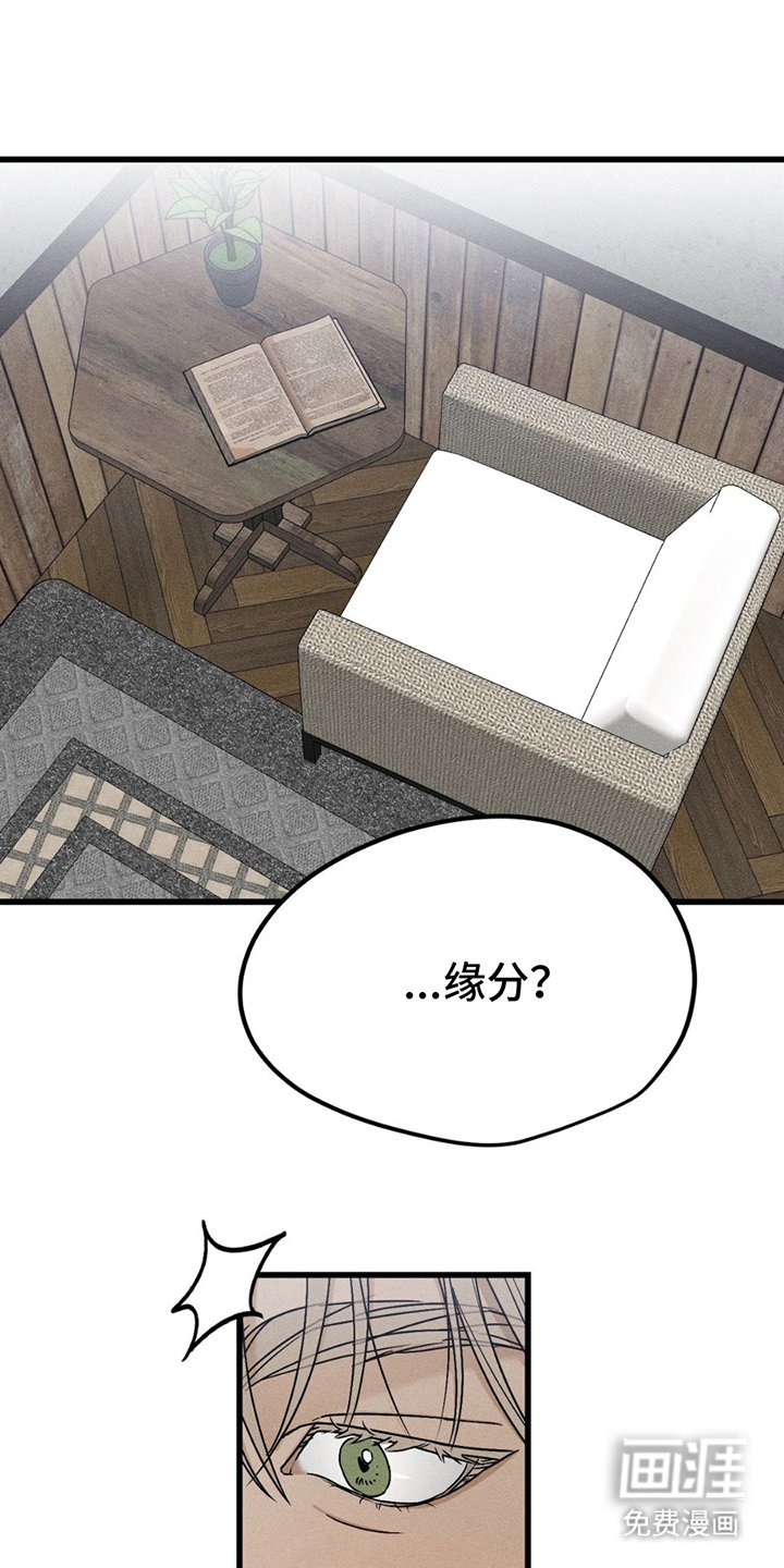 第12章：缘分