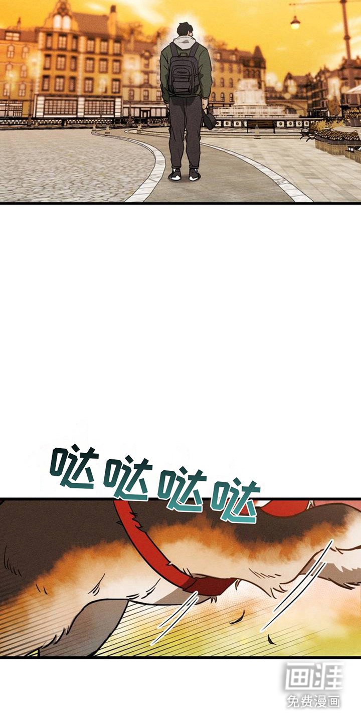 第2章：相似