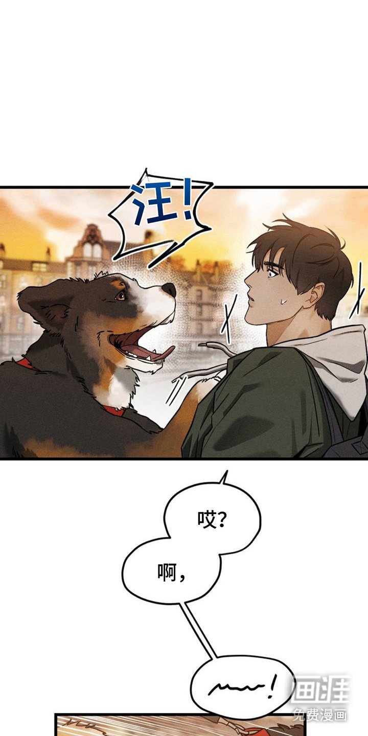 第2章：相似
