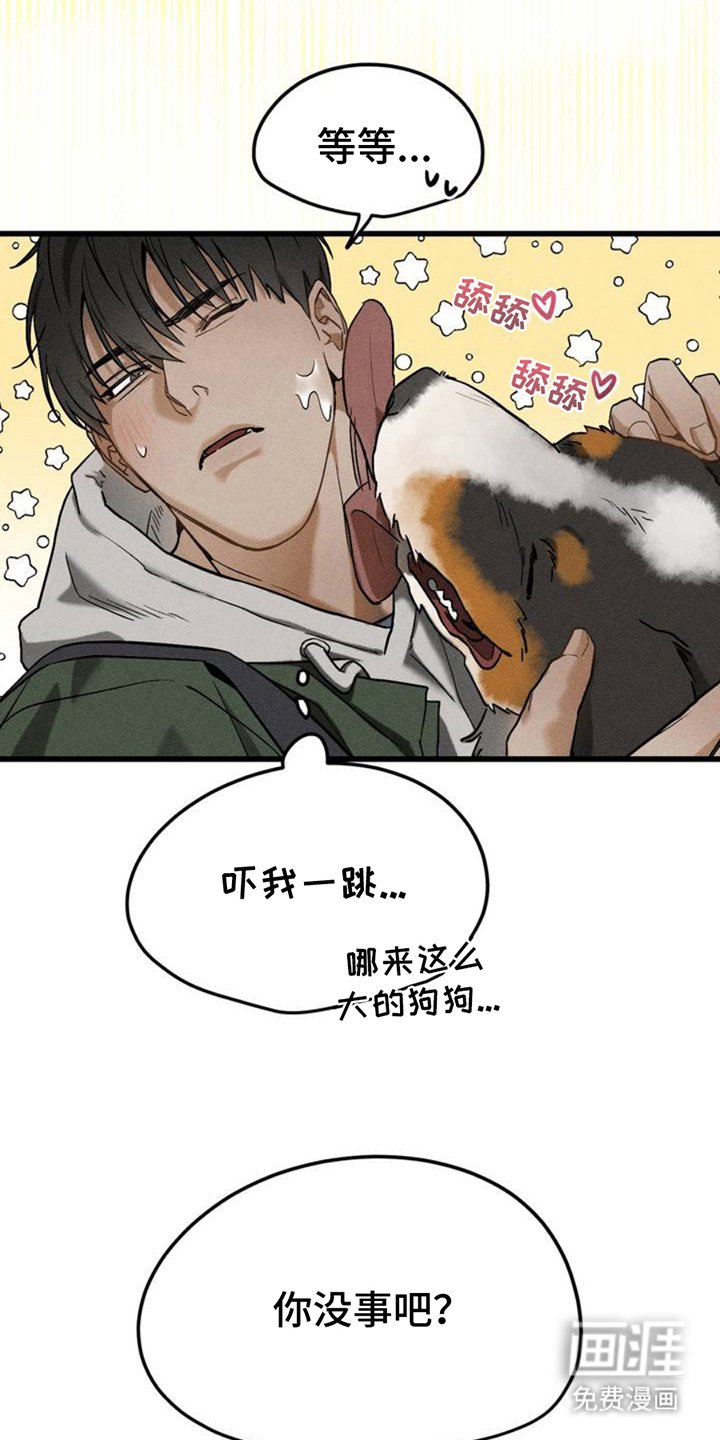 第2章：相似