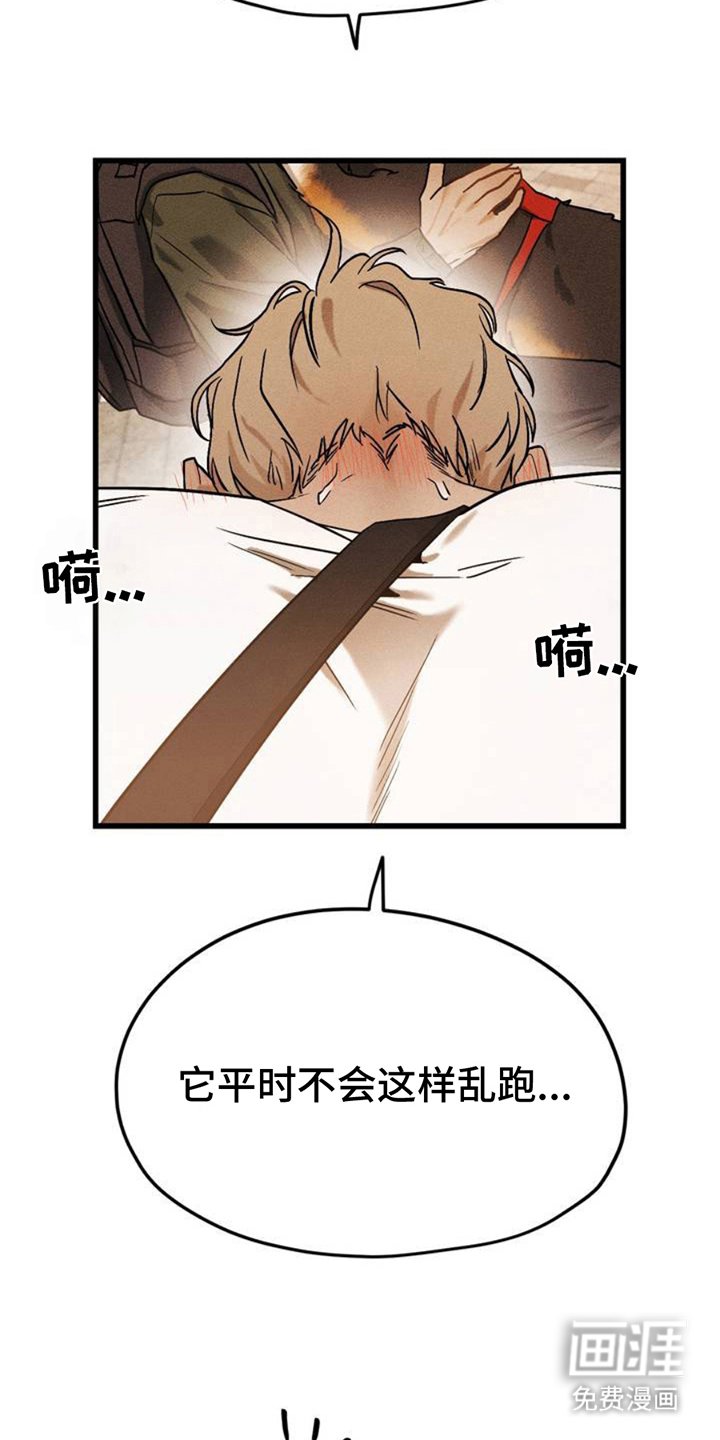 第2章：相似