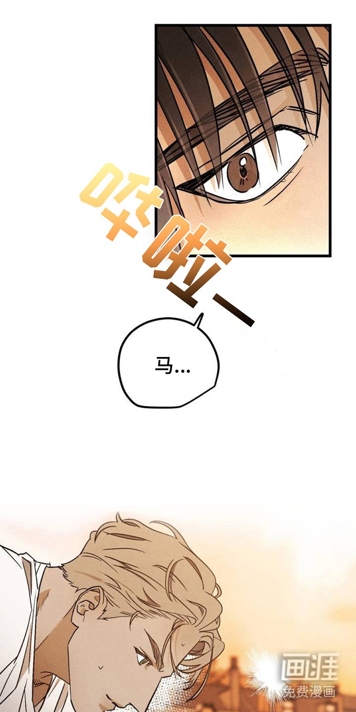 第2章：相似