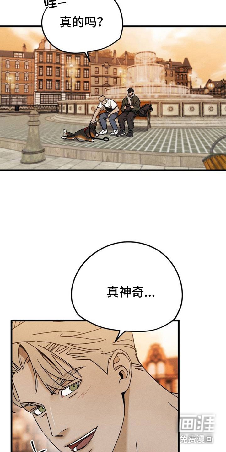 第2章：相似