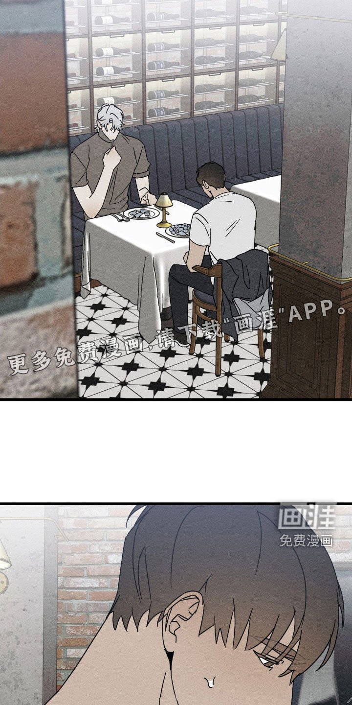 第27章：替代品