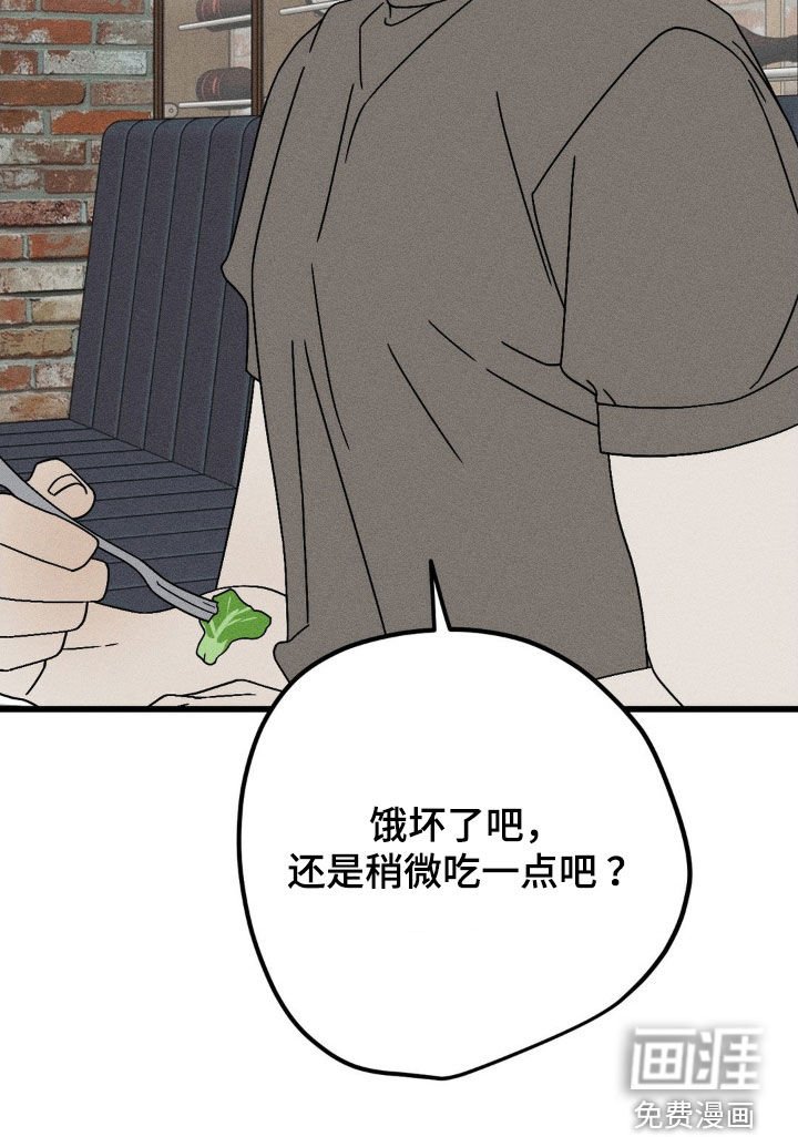 第27章：替代品