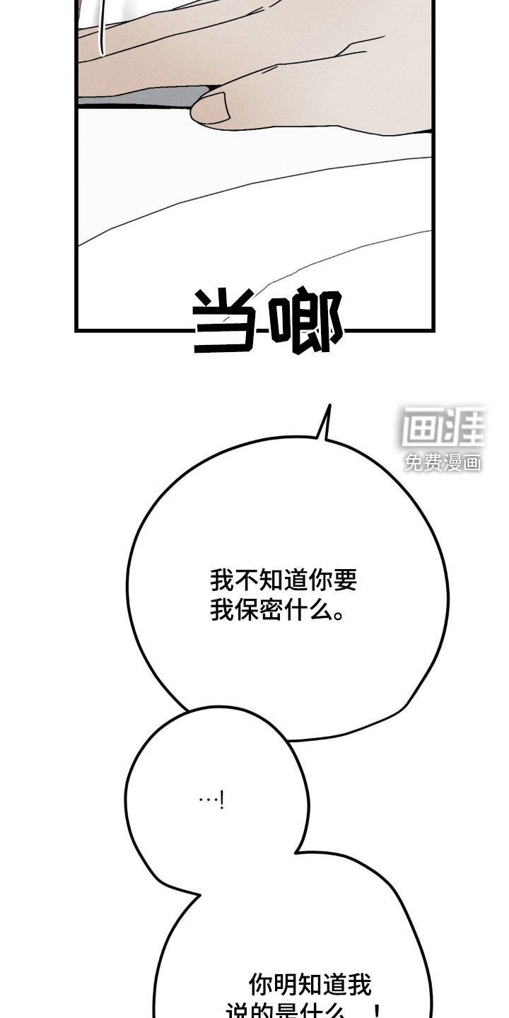 第27章：替代品