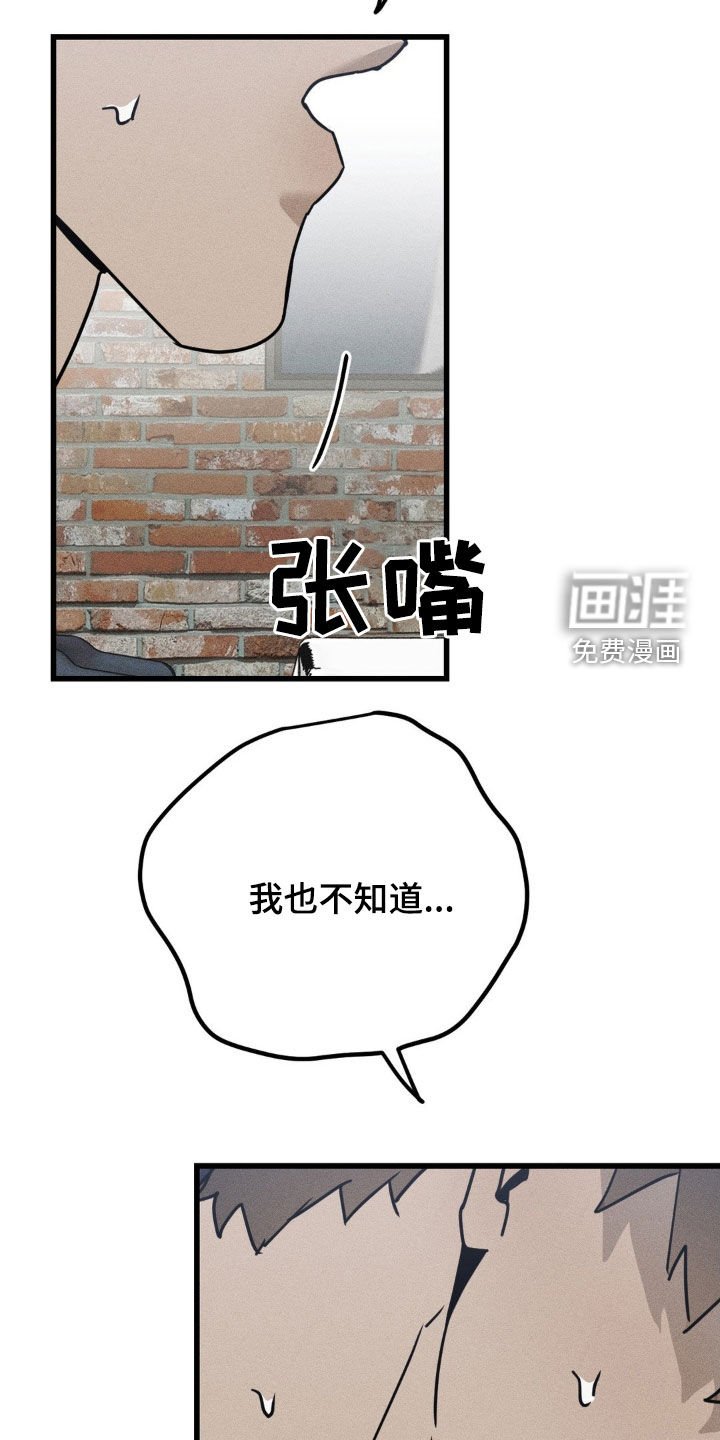第27章：替代品
