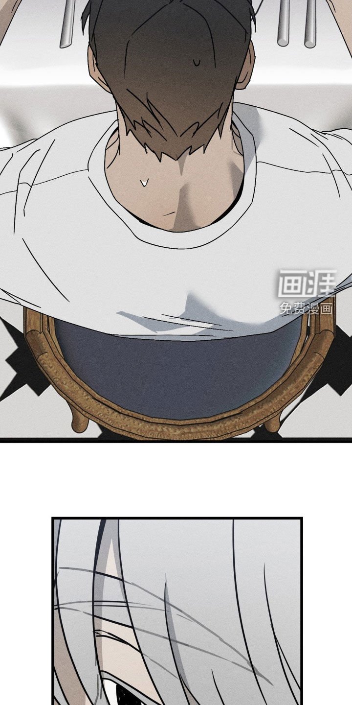 第27章：替代品
