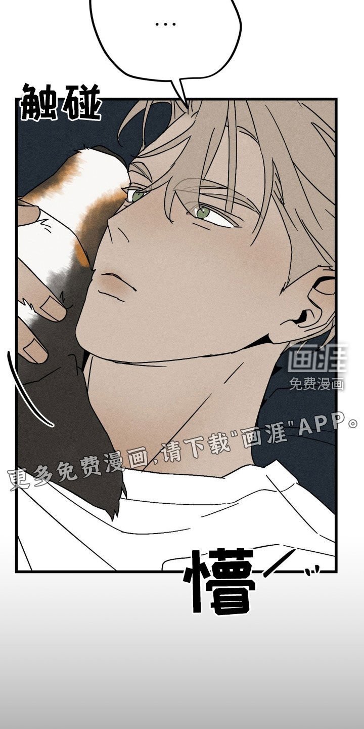 第29章：想留在这里