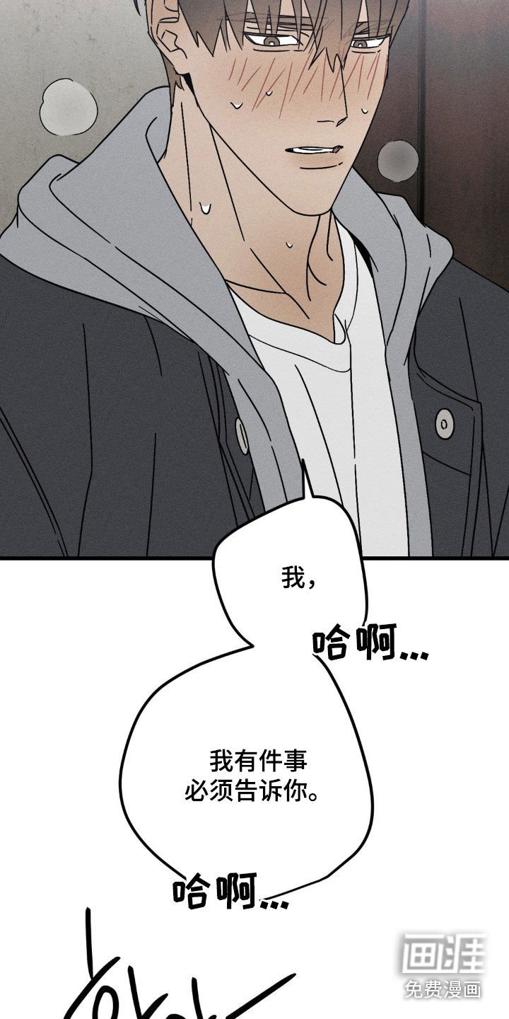 第32章：非常喜欢你