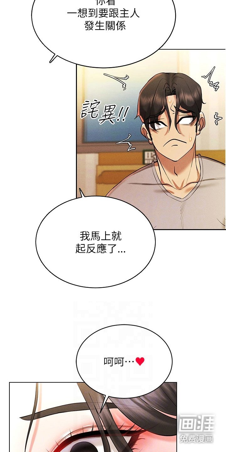 第15章：属性觉醒