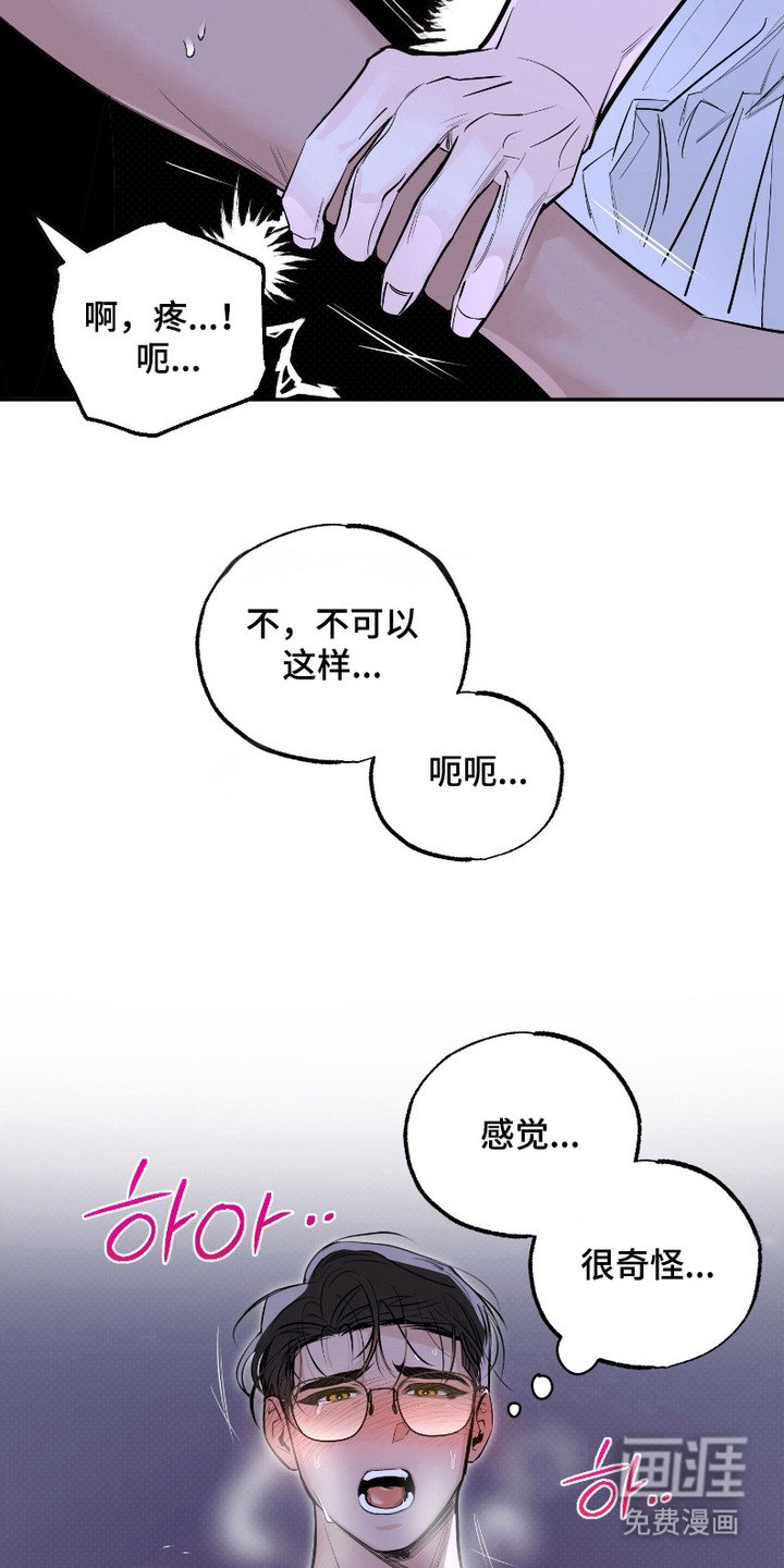 第2章：久违的感觉