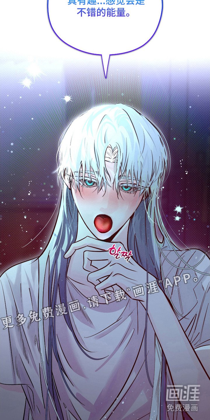第3章：读取思想