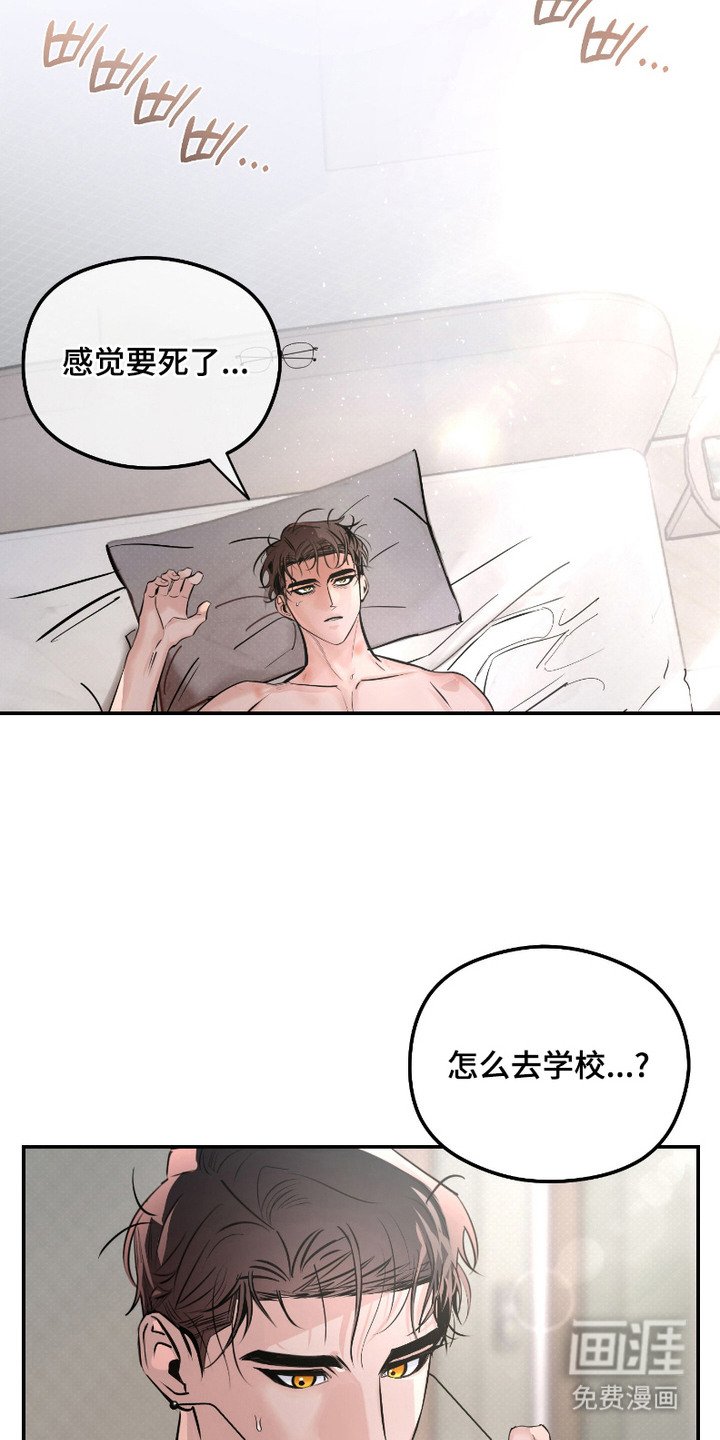 第4章：珍惜