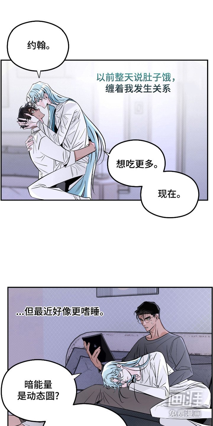 第9章：喂食
