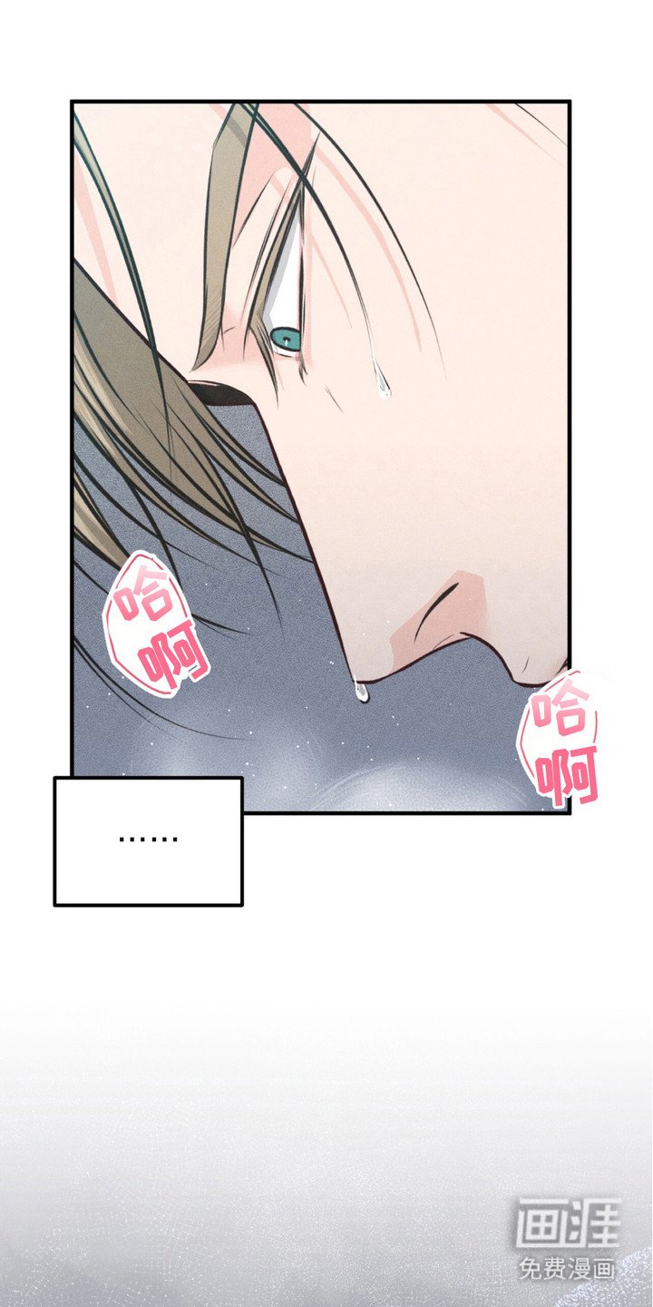 第15章：写在脸上
