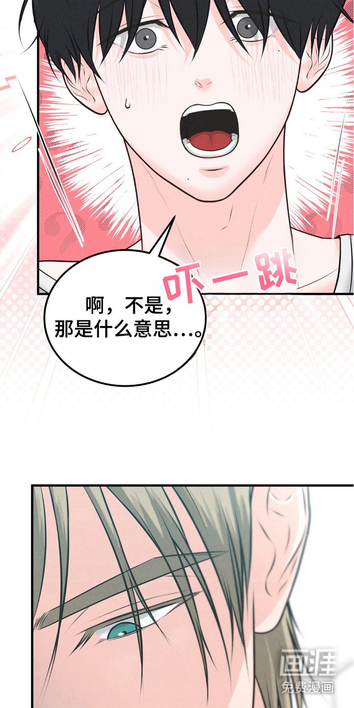 第15章：写在脸上