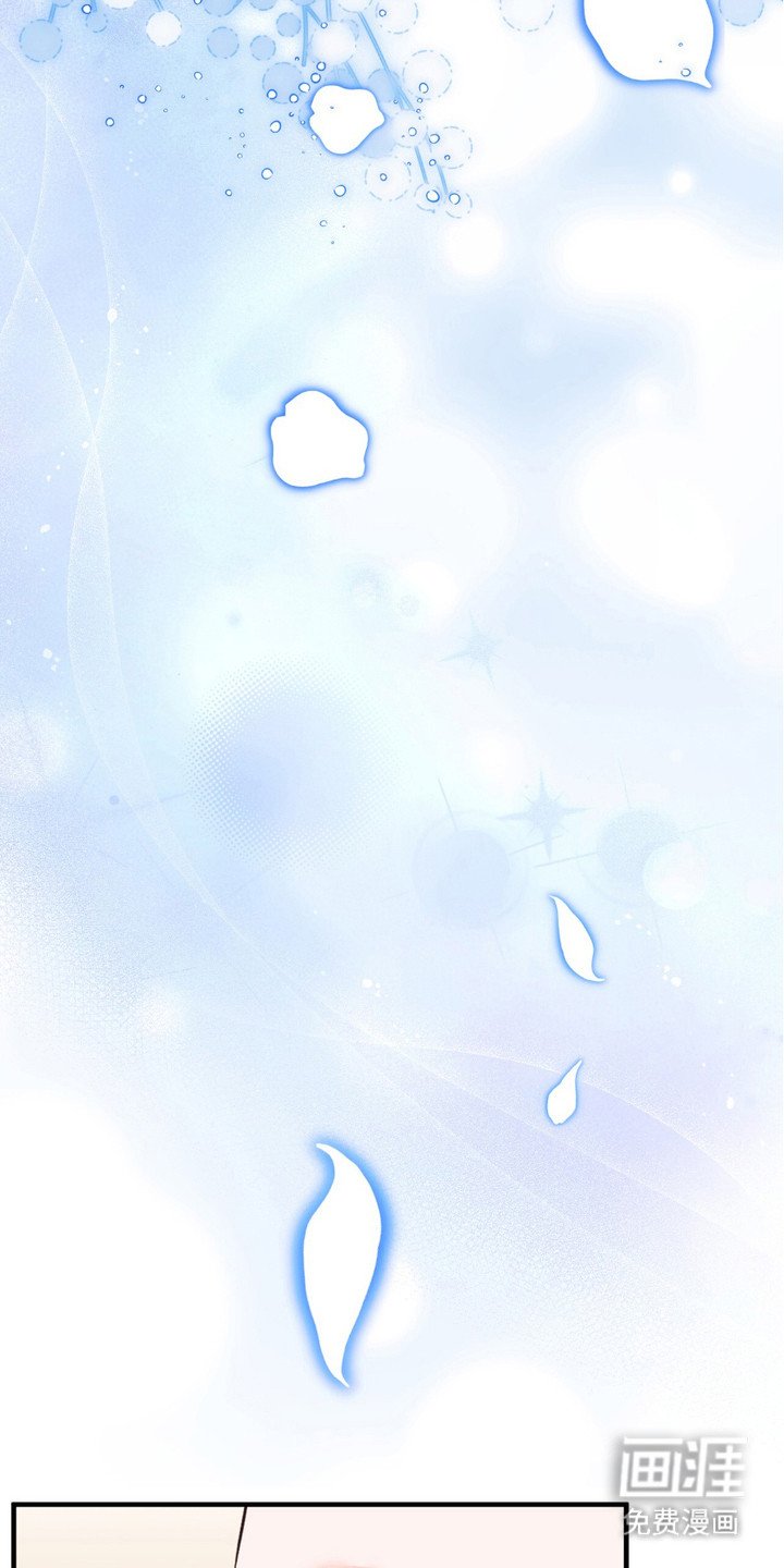 第6章：建议