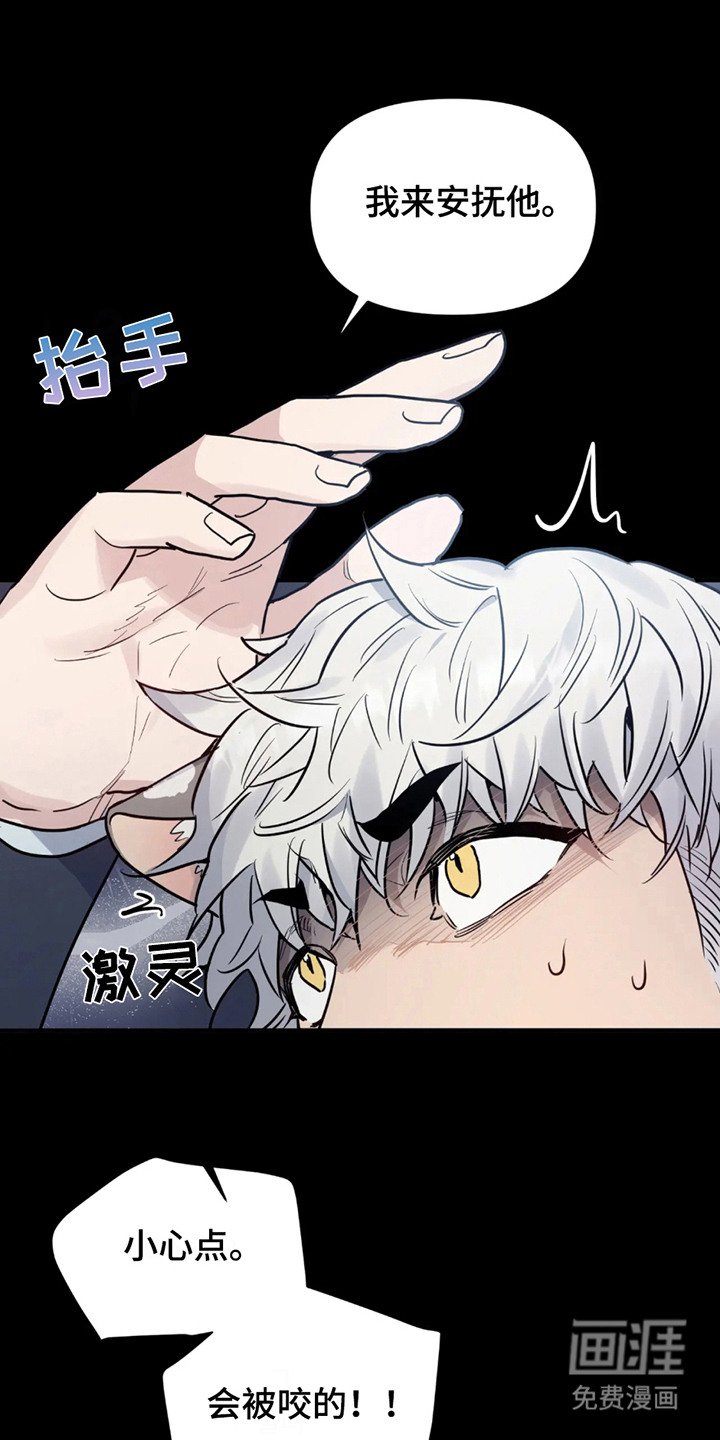 第2章：反应奇怪