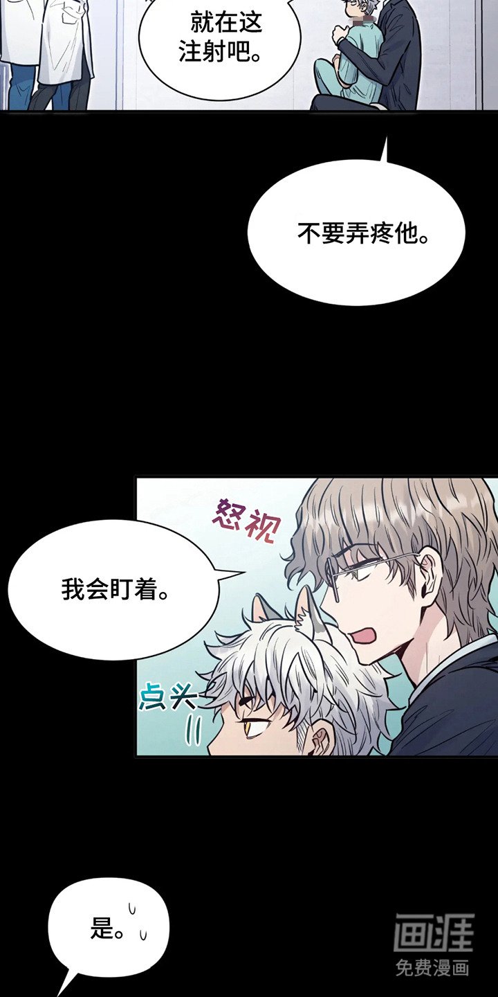 第2章：反应奇怪