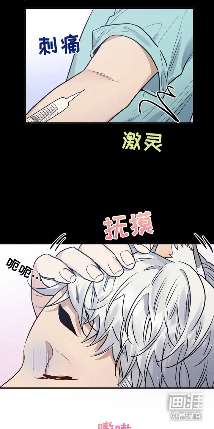第2章：反应奇怪