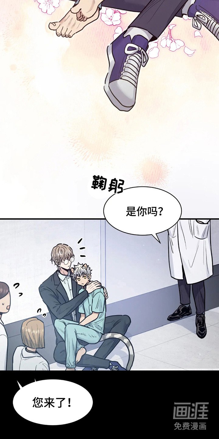 第2章：反应奇怪