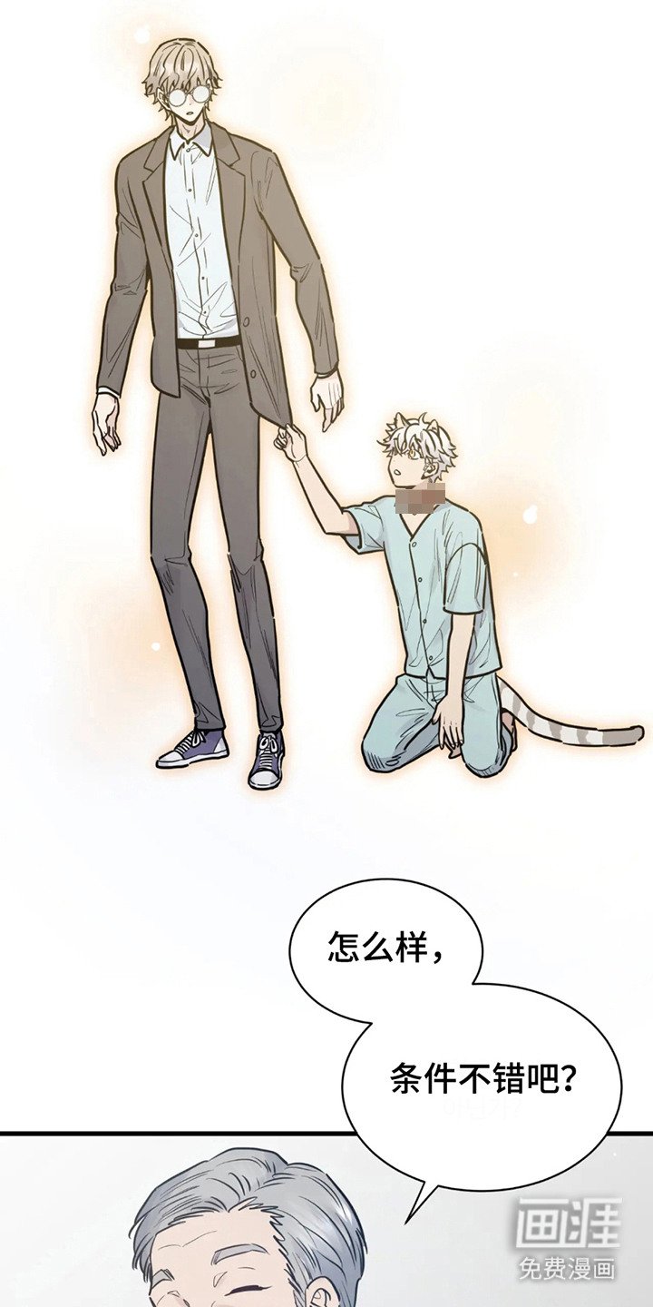 第2章：反应奇怪