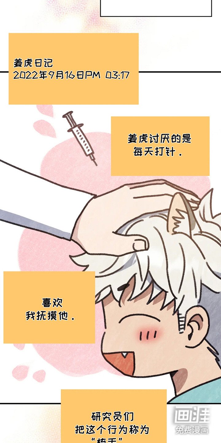 第2章：反应奇怪