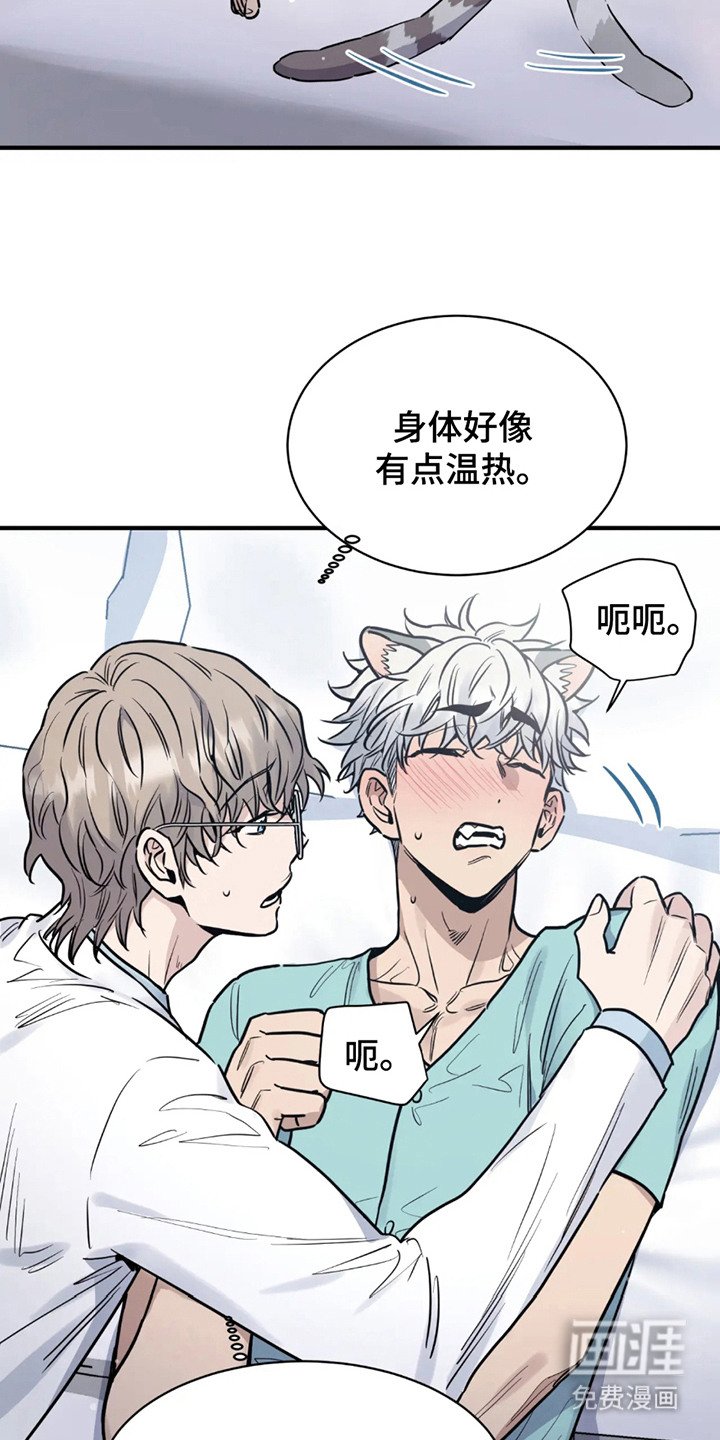 第2章：反应奇怪
