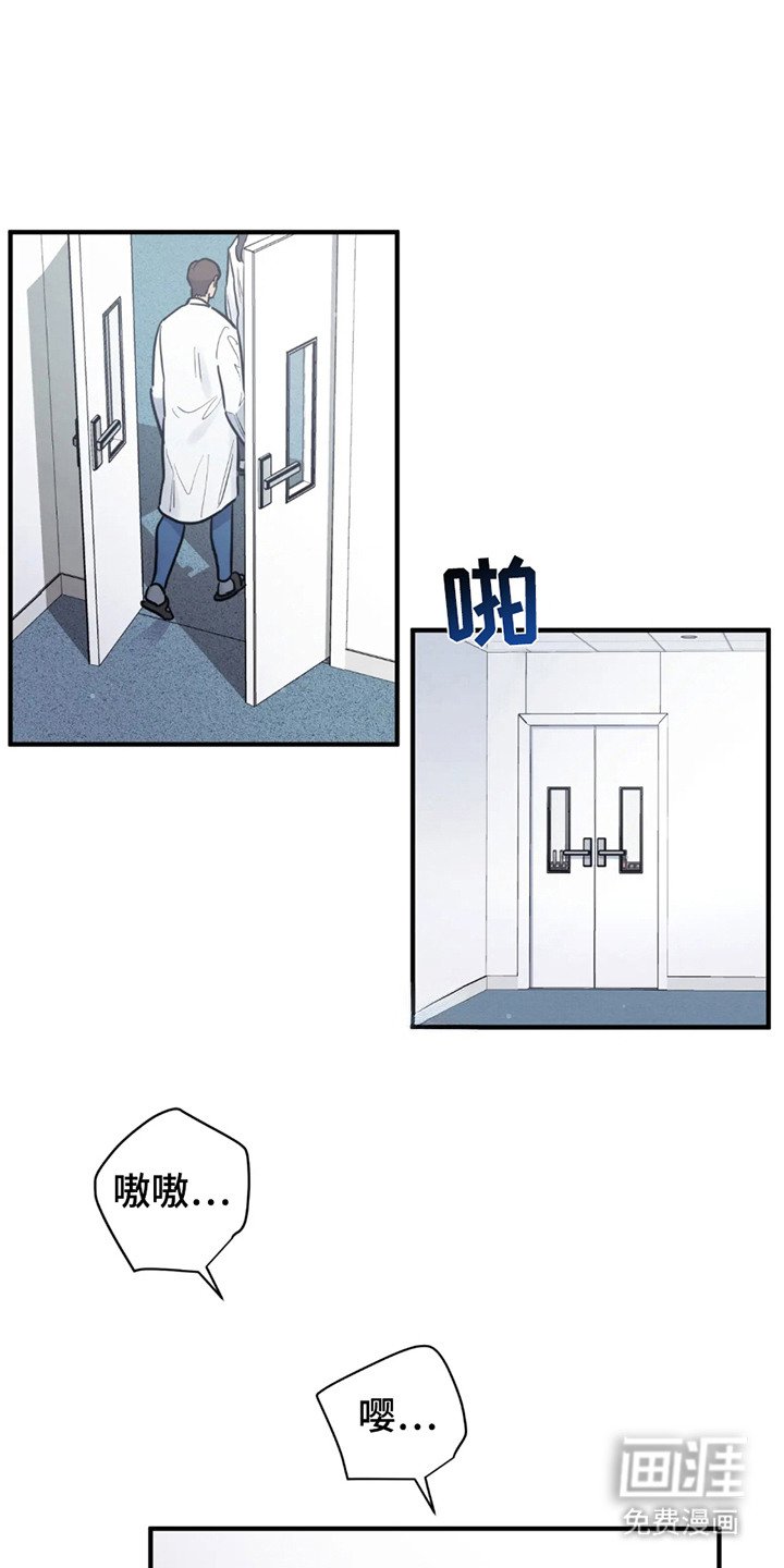 第4章：既定程序