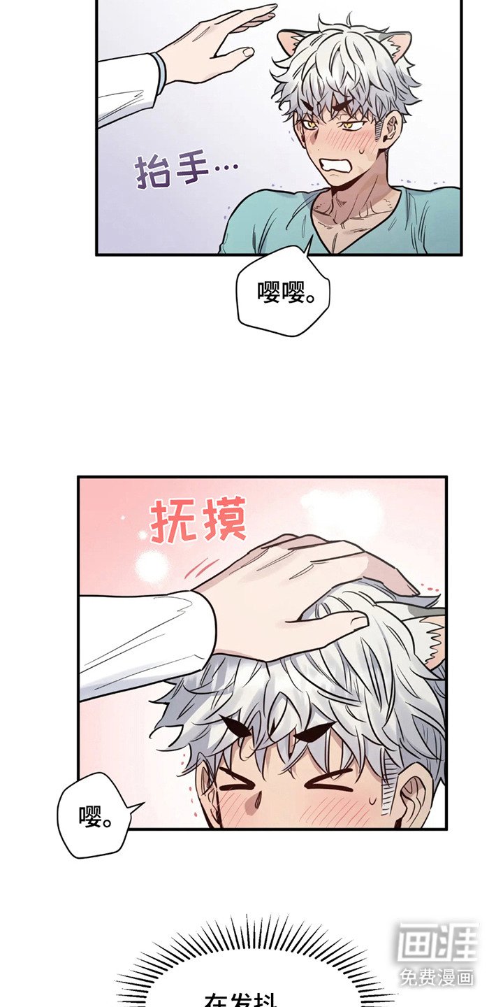 第4章：既定程序