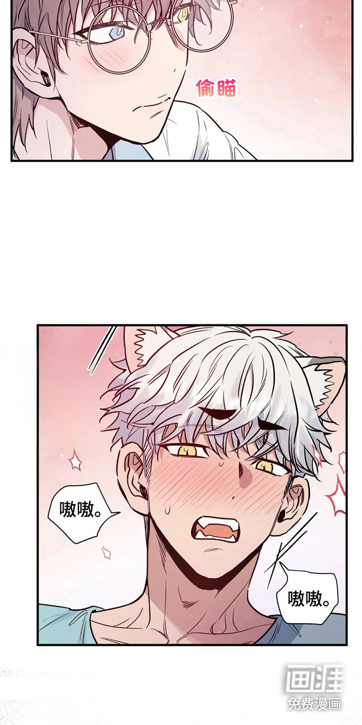 第4章：既定程序
