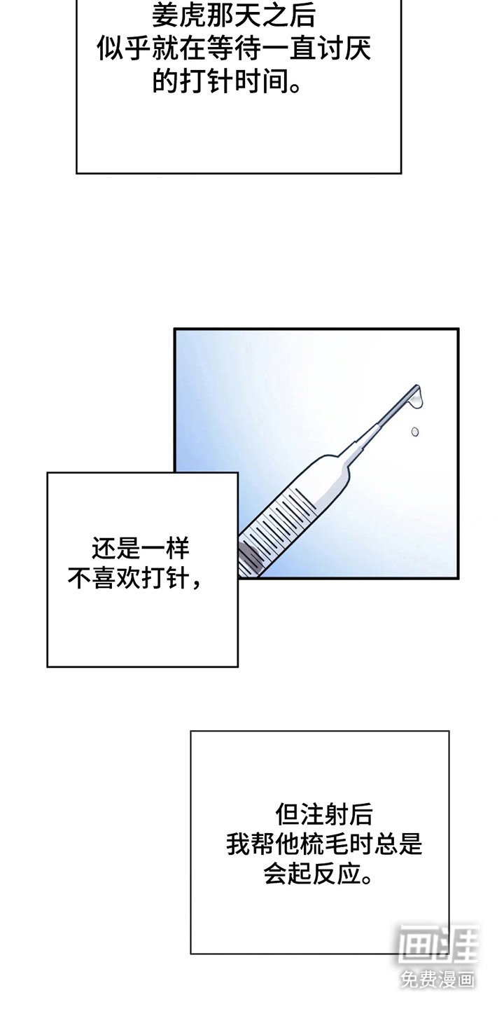 第4章：既定程序
