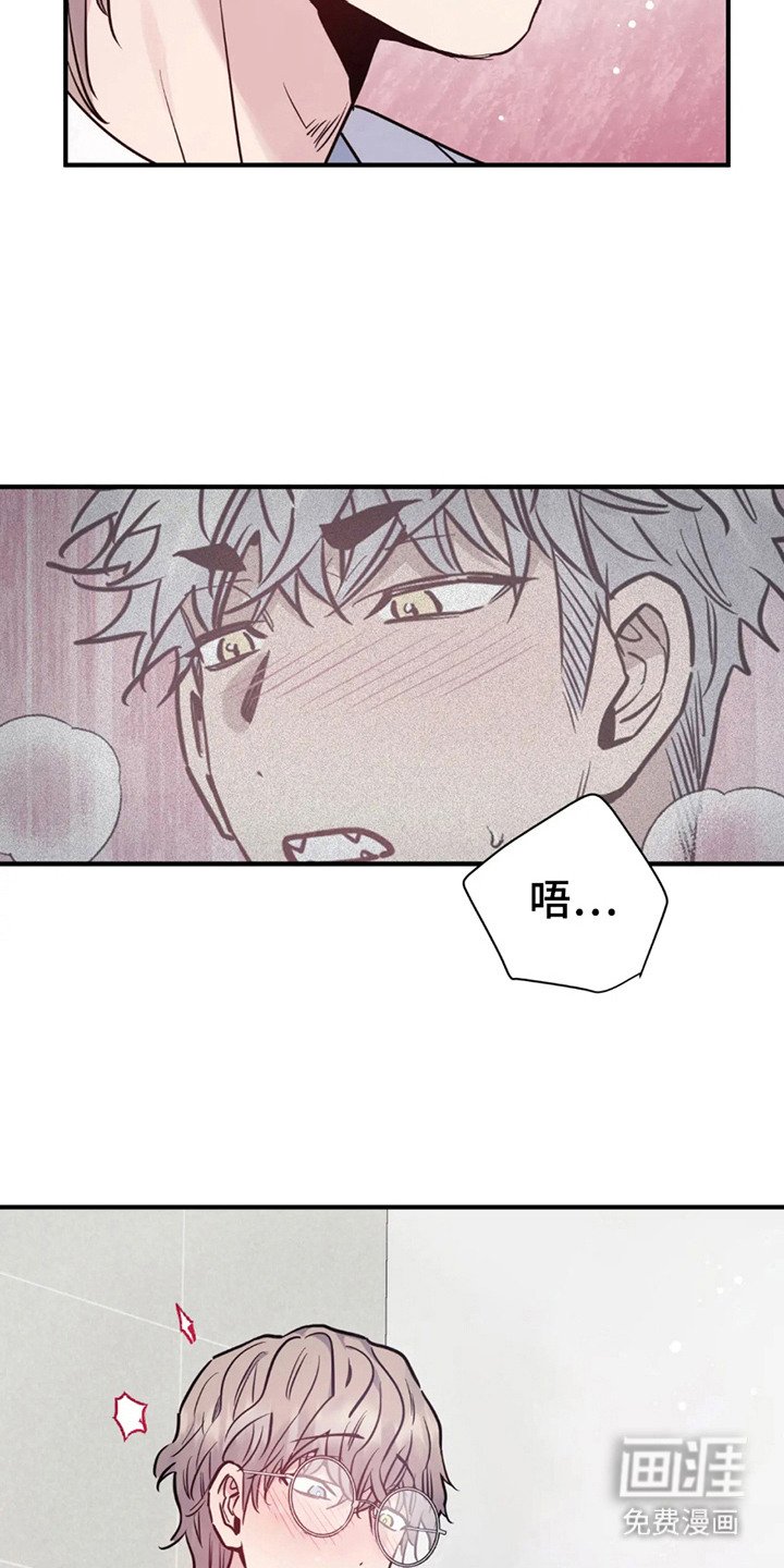 第4章：既定程序
