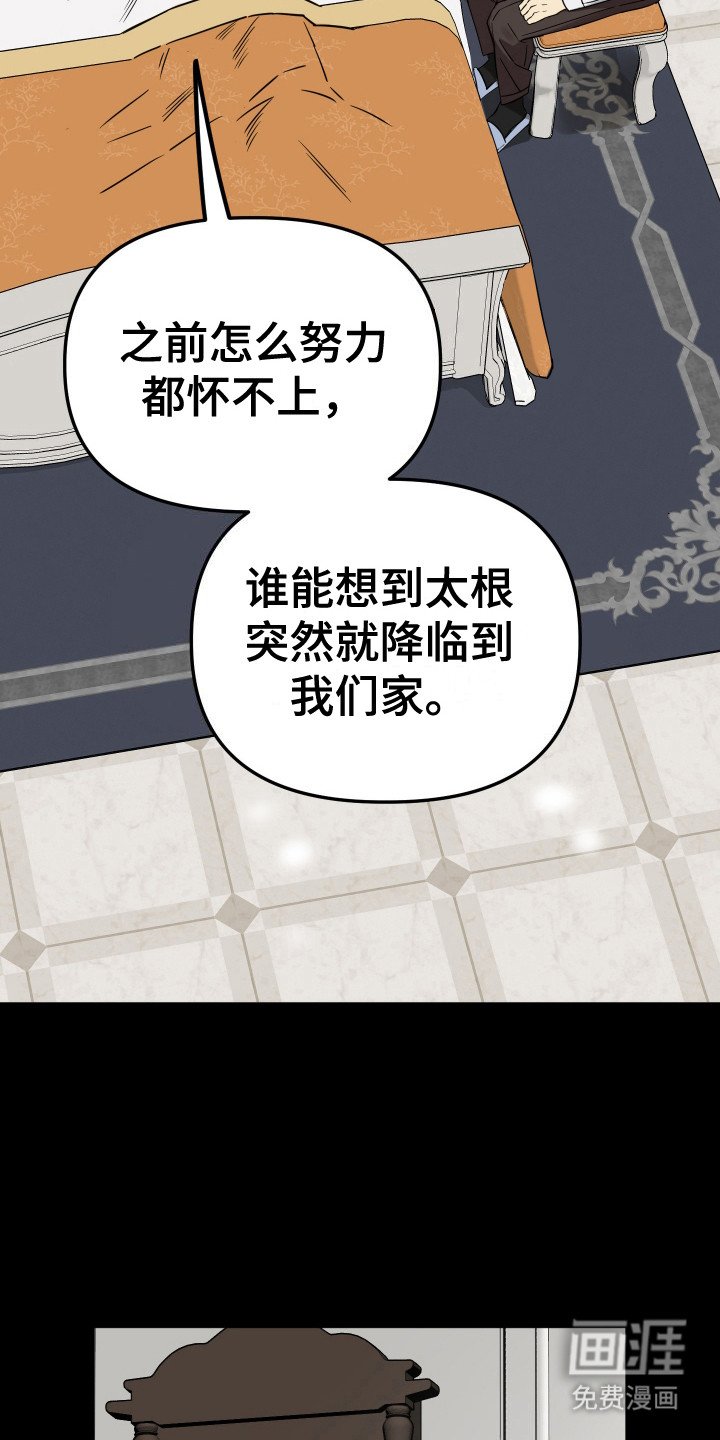 第11章：竞争对手