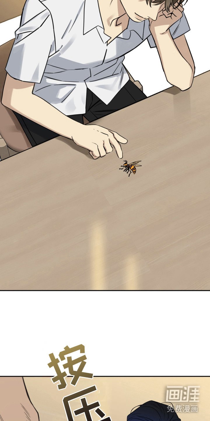第14章：不敢下手