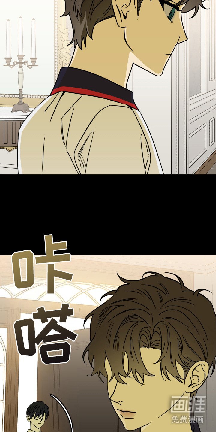 第15章：秃鹫