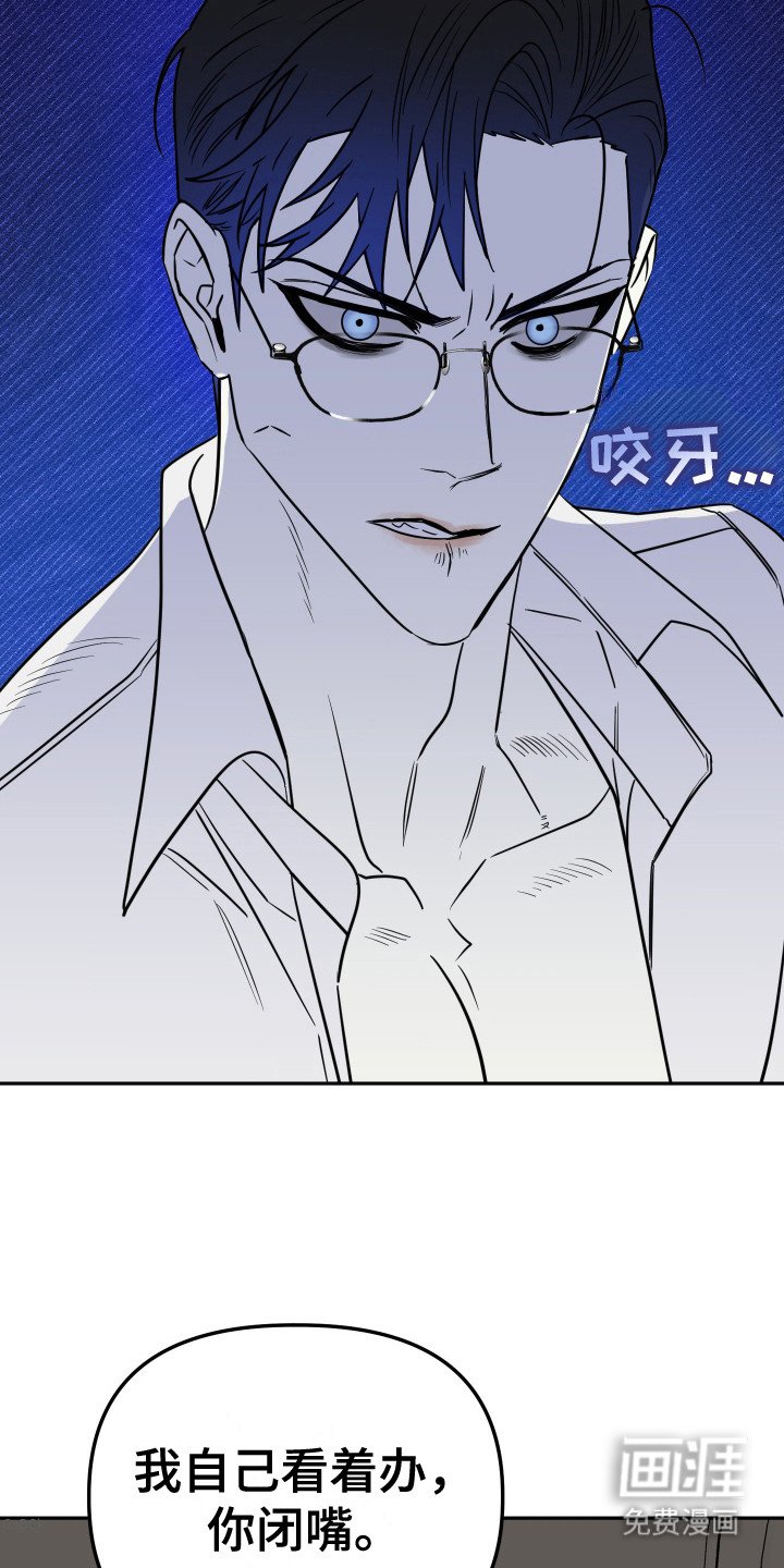 第16章：看着办