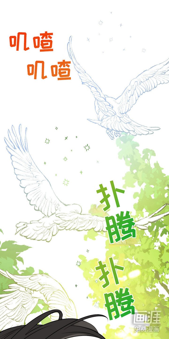 第6章：广告