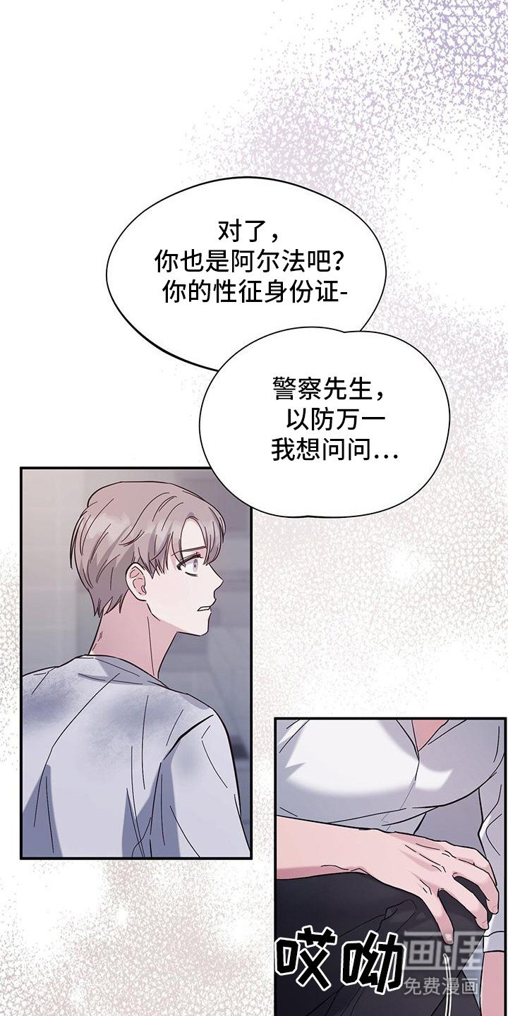 第2章：猫咪