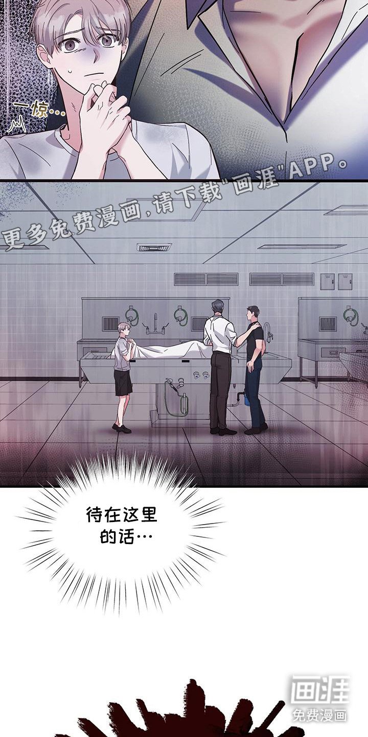第2章：猫咪