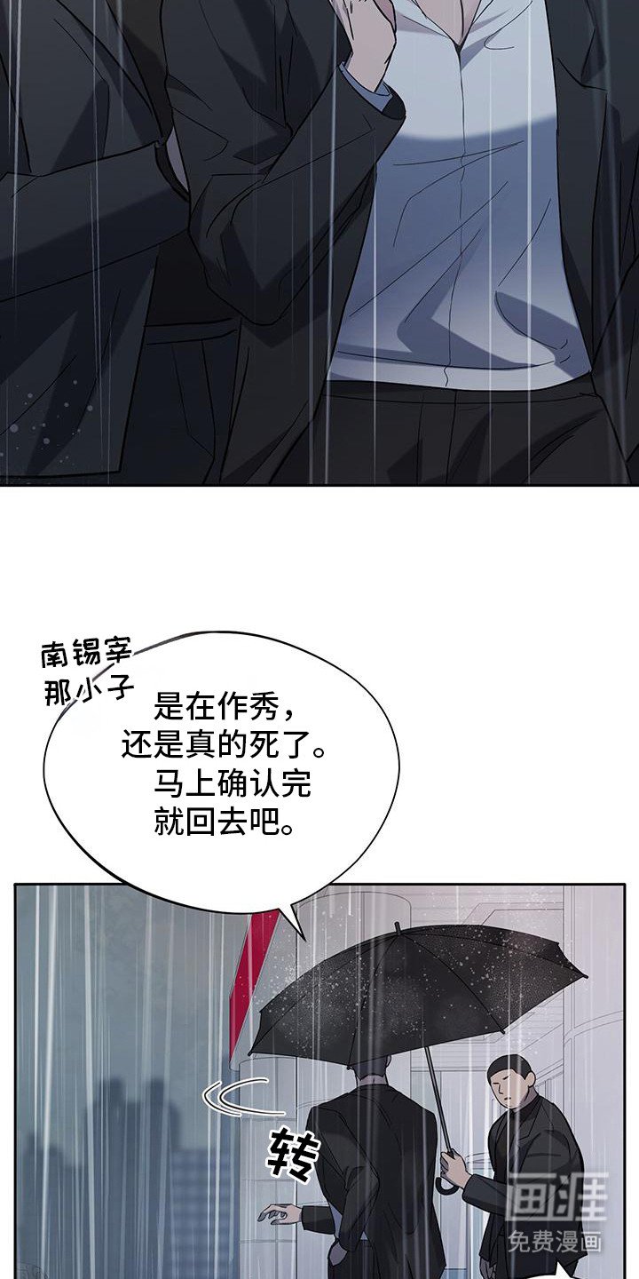 第2章：猫咪