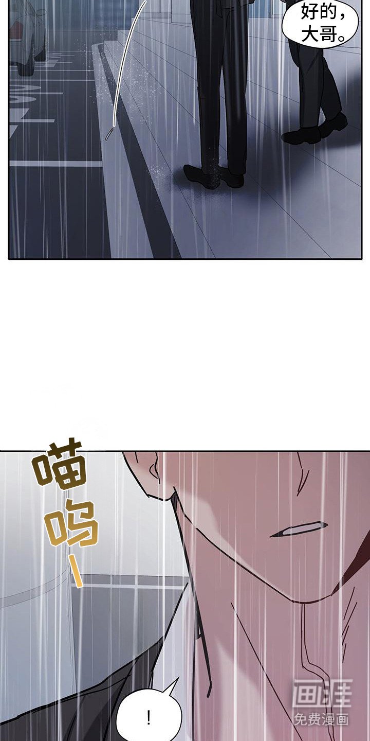 第2章：猫咪