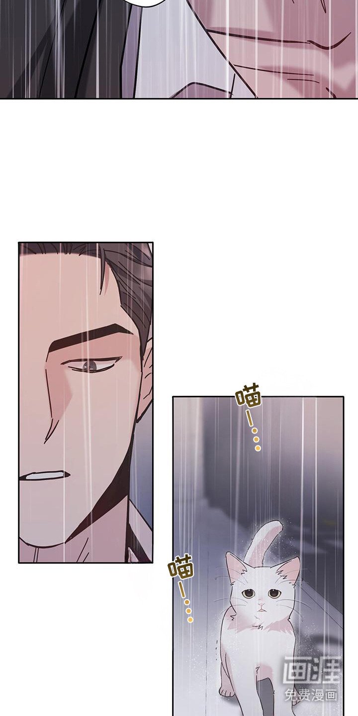 第2章：猫咪