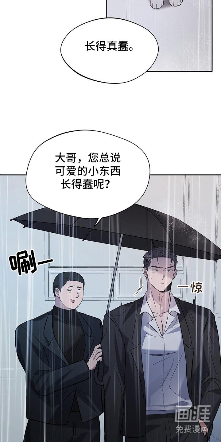 第2章：猫咪