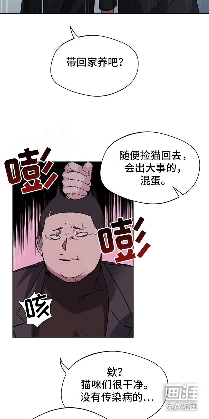 第2章：猫咪