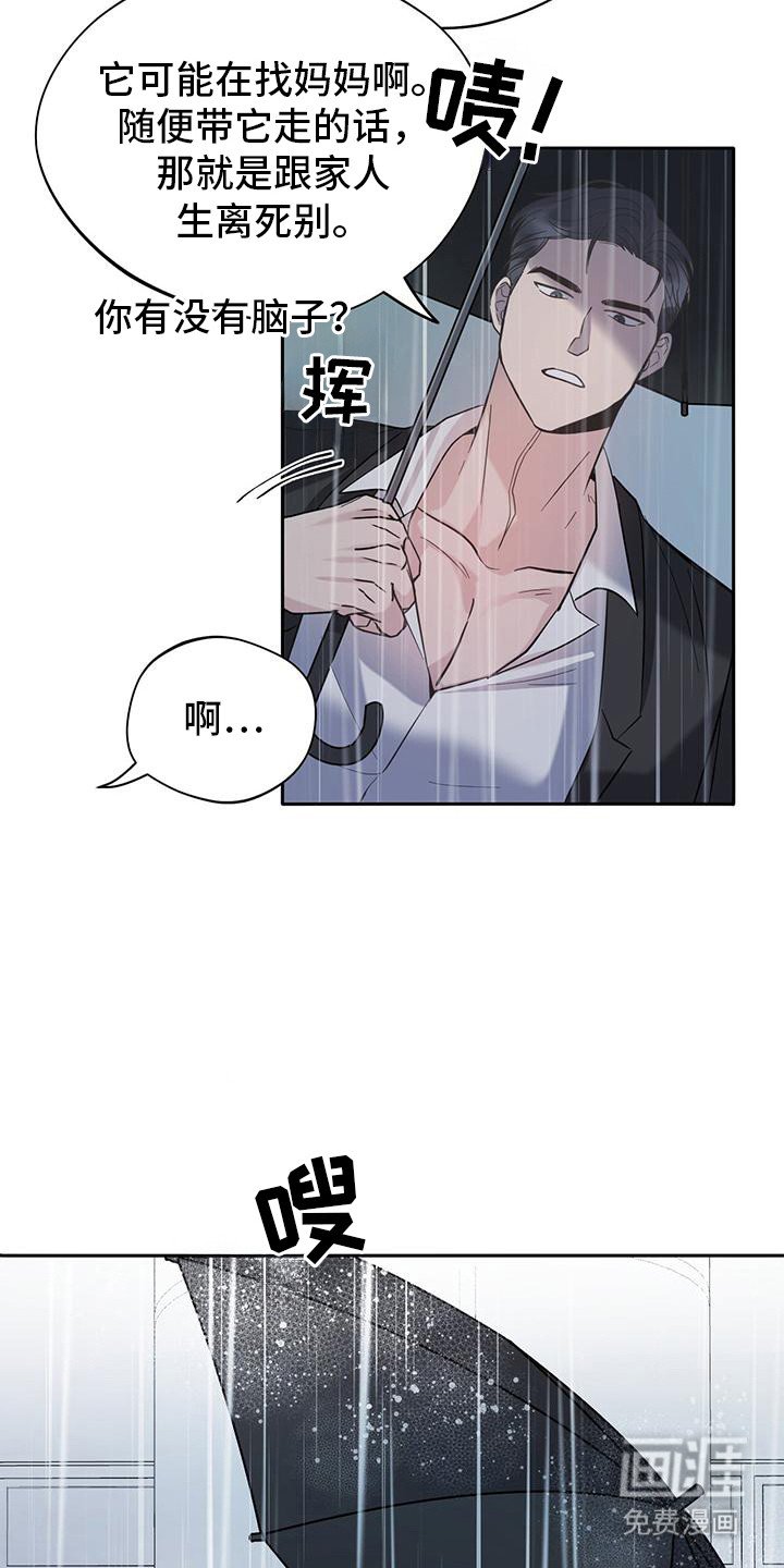 第2章：猫咪