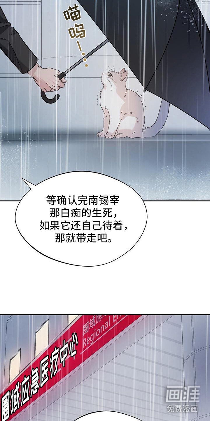 第2章：猫咪